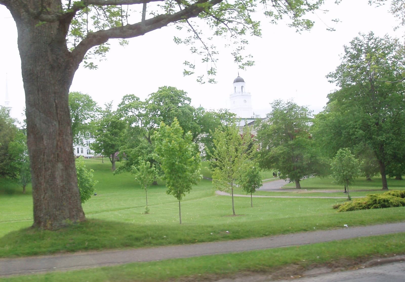 Acadia University kampüs yaşamı