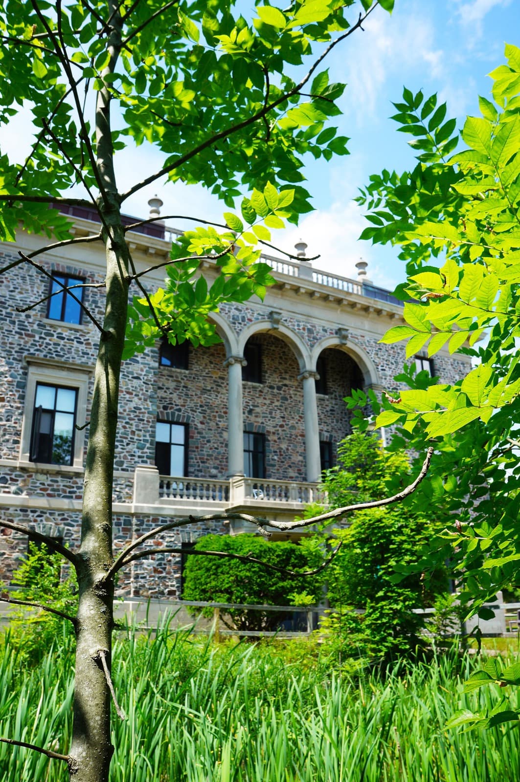 Dalhousie kampüsünde akademik bina