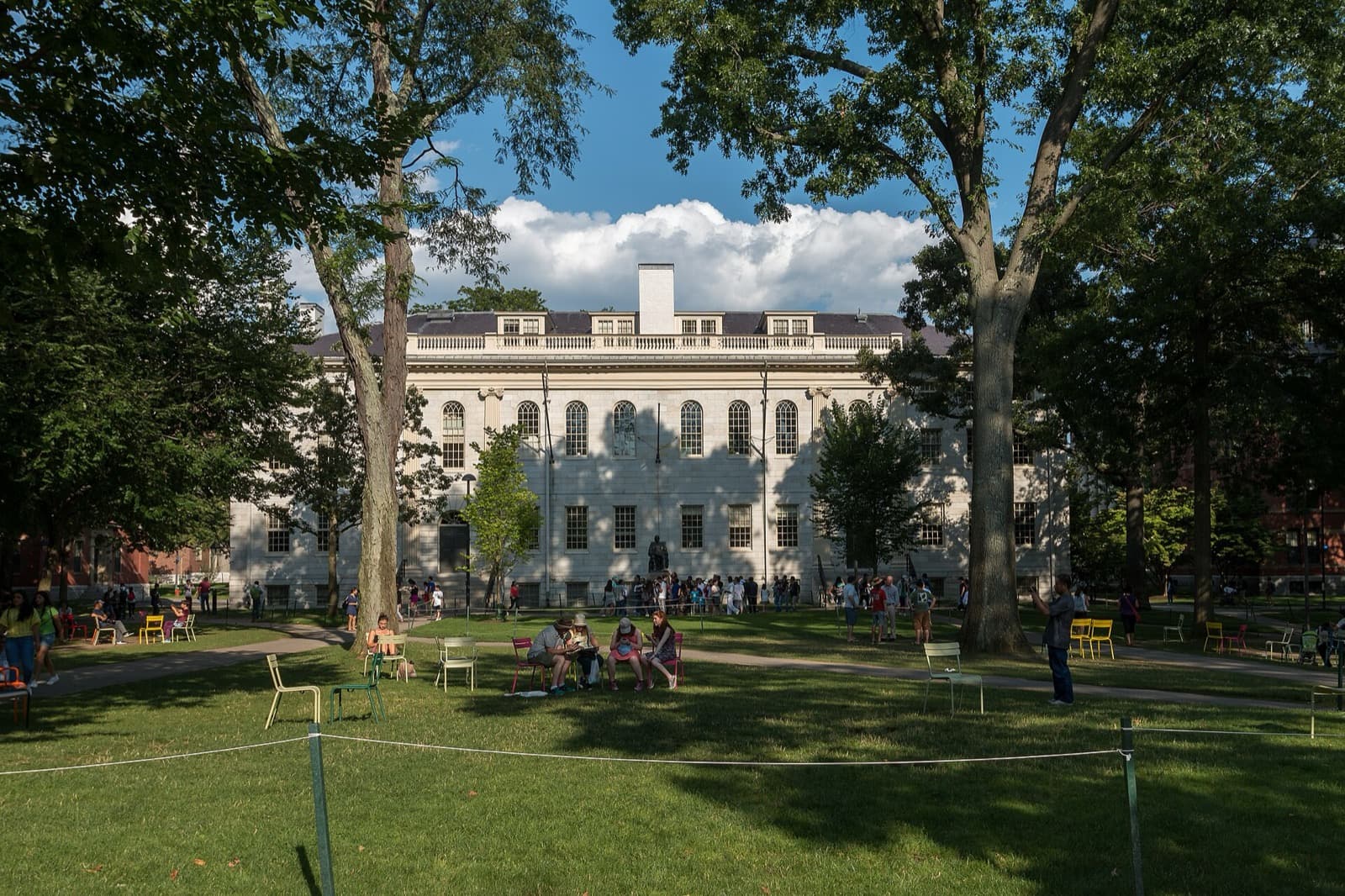 Yaz mevsiminde Harvard Yard