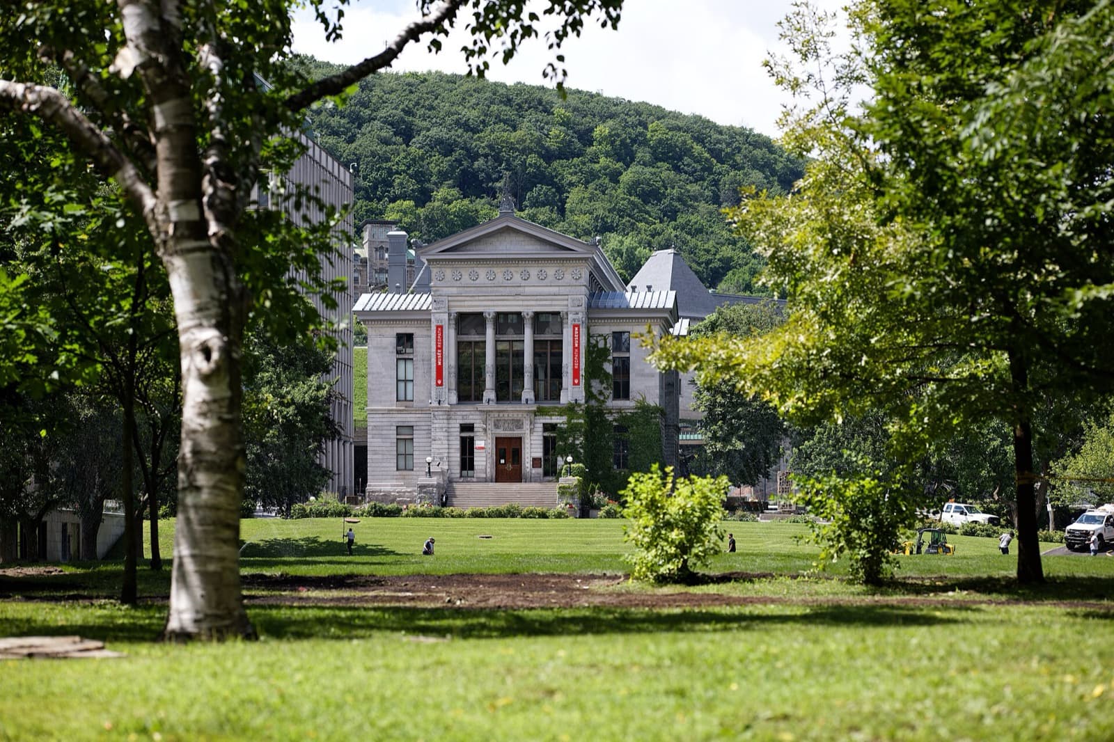McGill Redpath Museum ve Lower Field